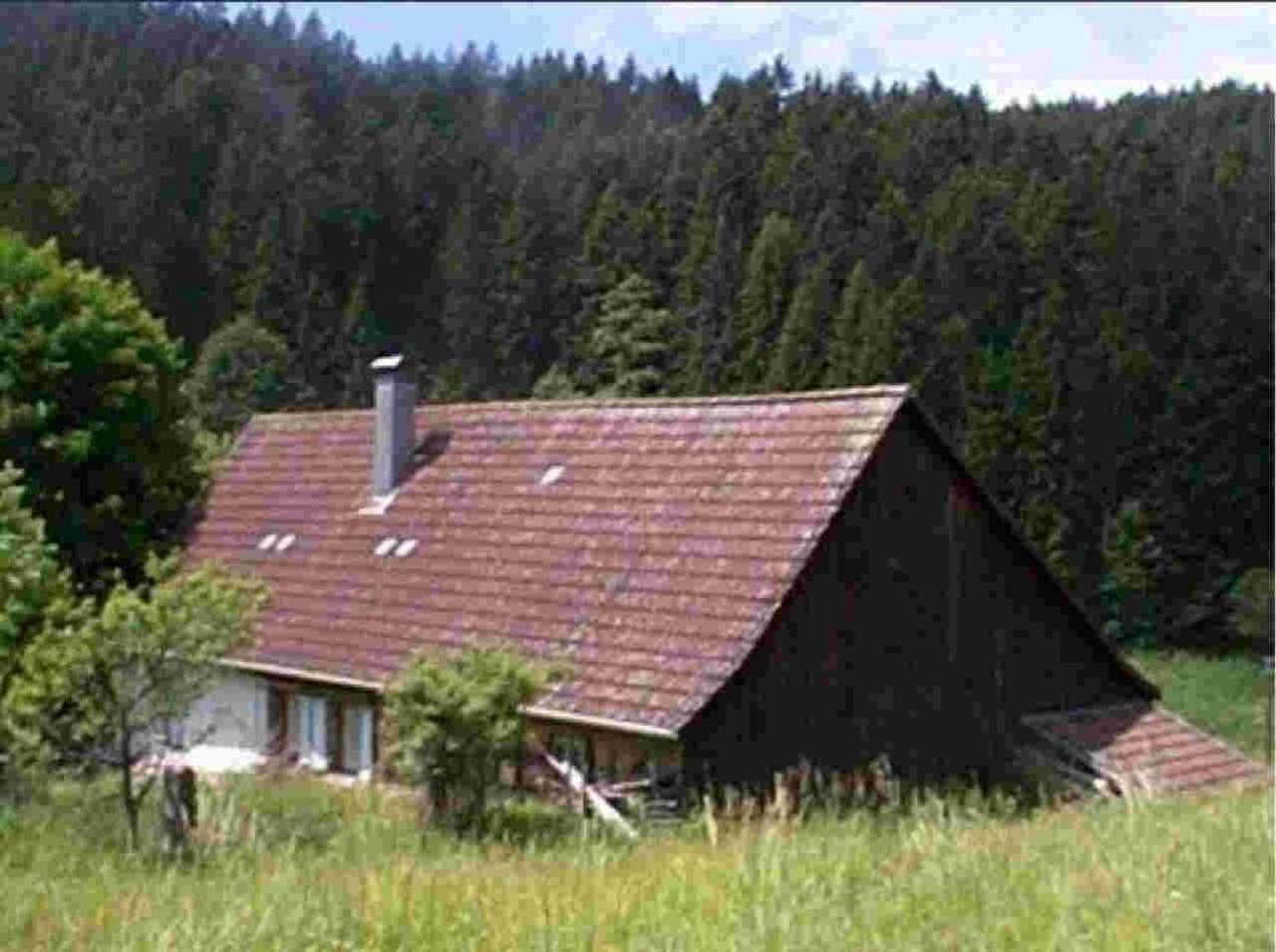 Ferienhaus Schwarzwald Seewald Erzgrube Badesee 100% Natur Εξωτερικό φωτογραφία